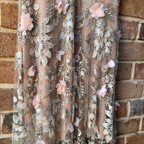 Dress the Population Blush Floral Embroidered Tulle Long Dress - Picture 4 of 16
